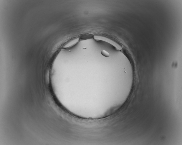 X0000111950019200908241215