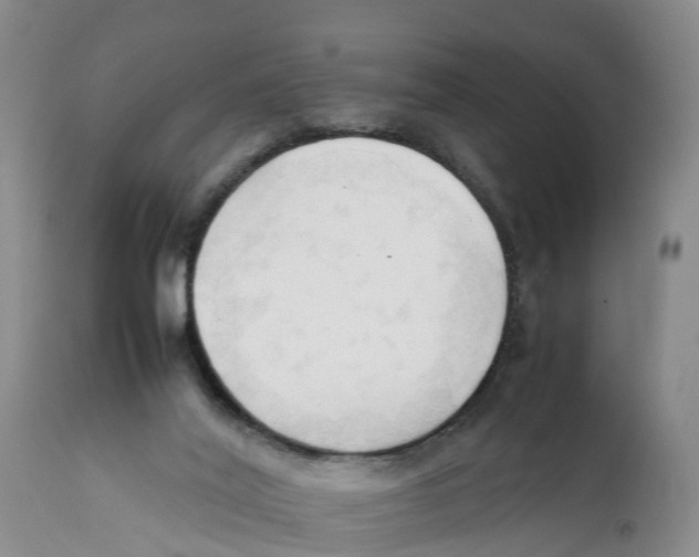 X0000111950020200908241215
