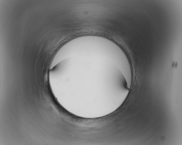 X0000111950021200908241215