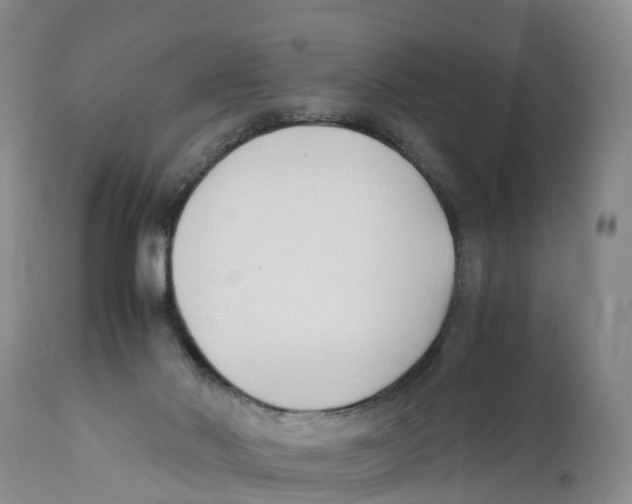 X0000111950022200908241215