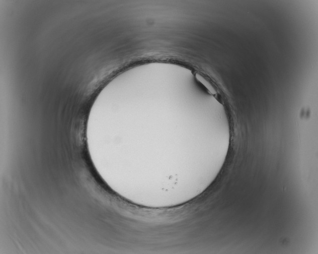 X0000111950023200908241215