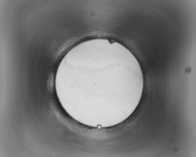 X0000111950024200908241215