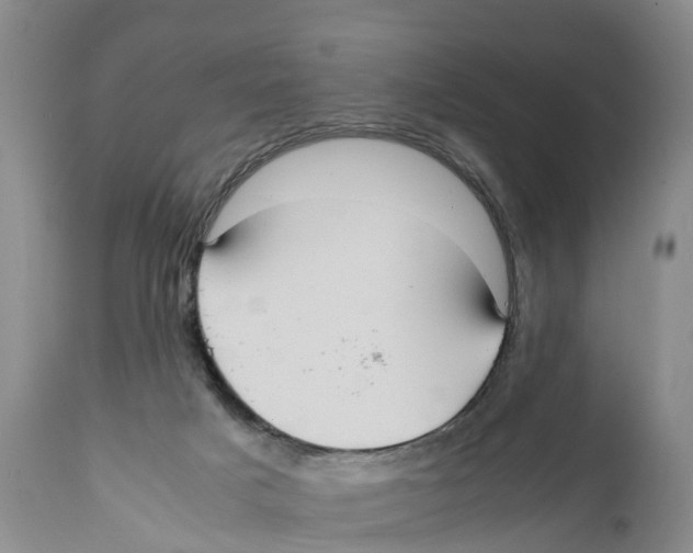 X0000111950025200908241215