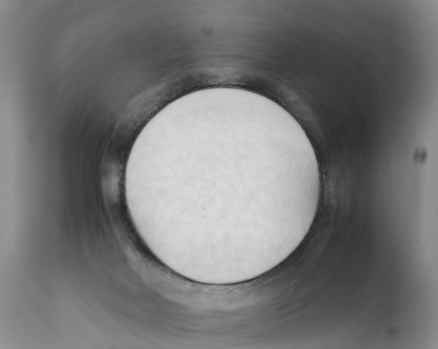 X0000111950026200908241215