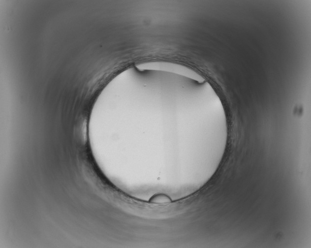 X0000111950027200908241215