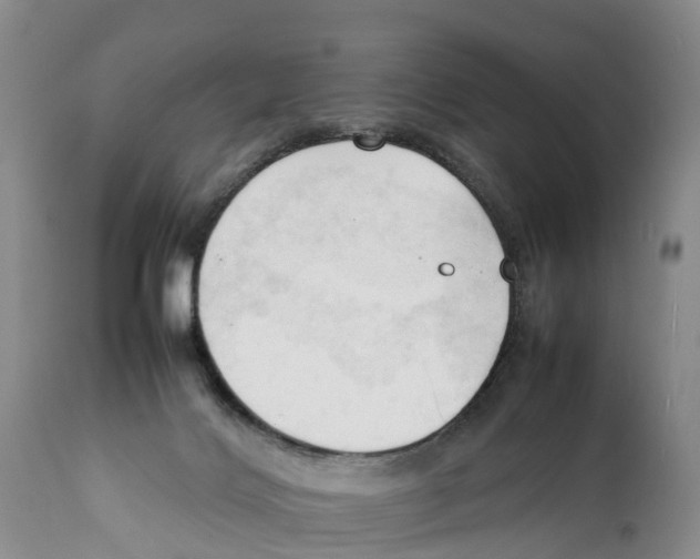 X0000111950028200908241215
