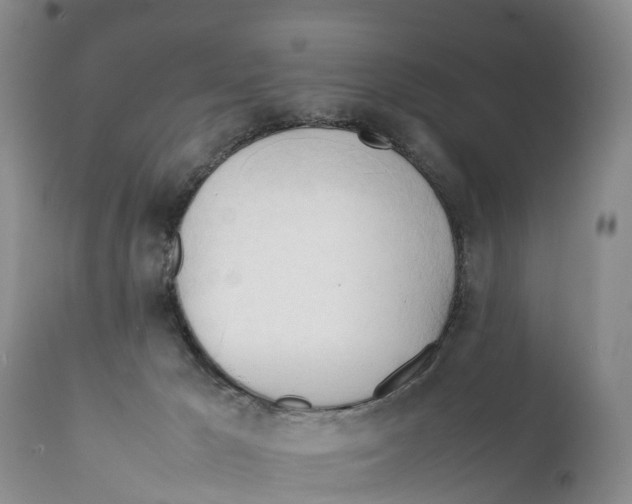 X0000111950029200908241214