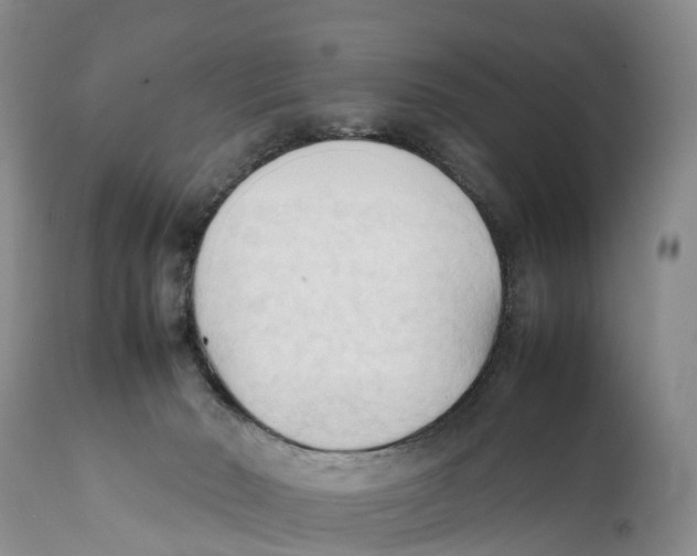 X0000111950030200908241214