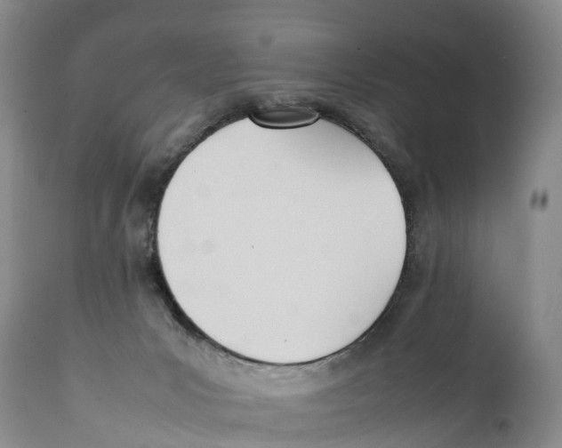 X0000111950031200908241214