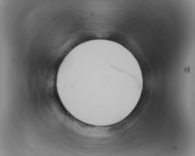 X0000111950032200908241214