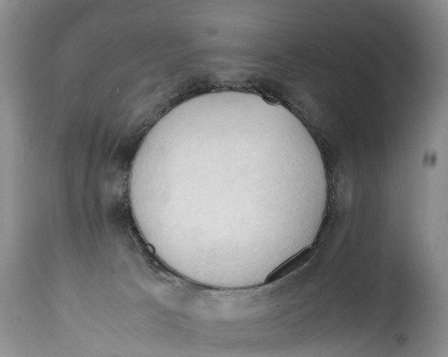 X0000111950033200908241214