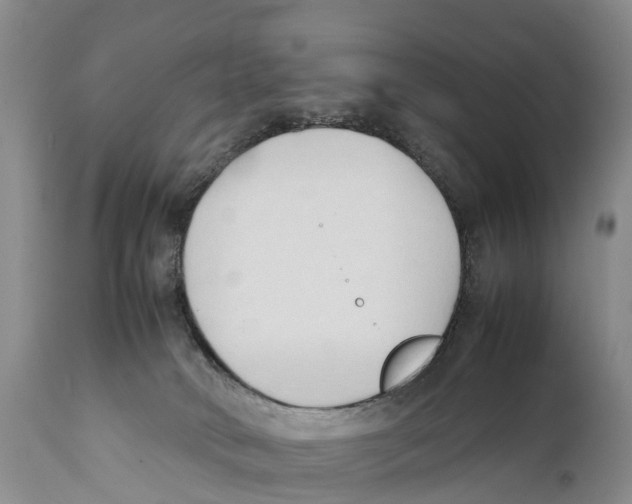 X0000111950034200908241214