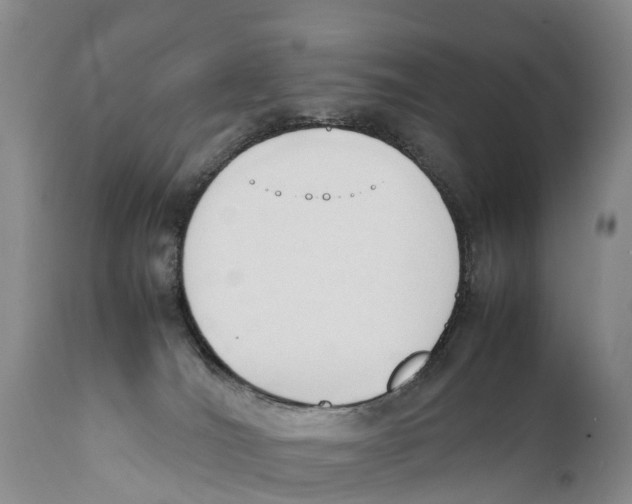 X0000111950036200908241214