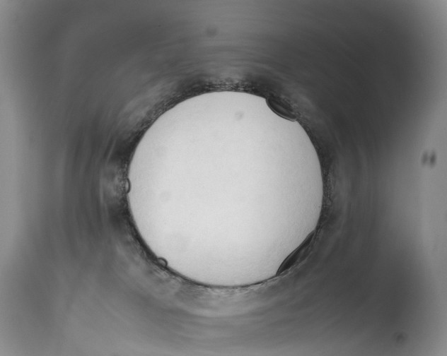 X0000111950037200908241214