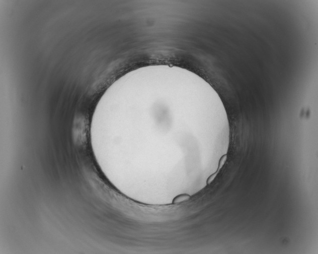X0000111950038200908241214