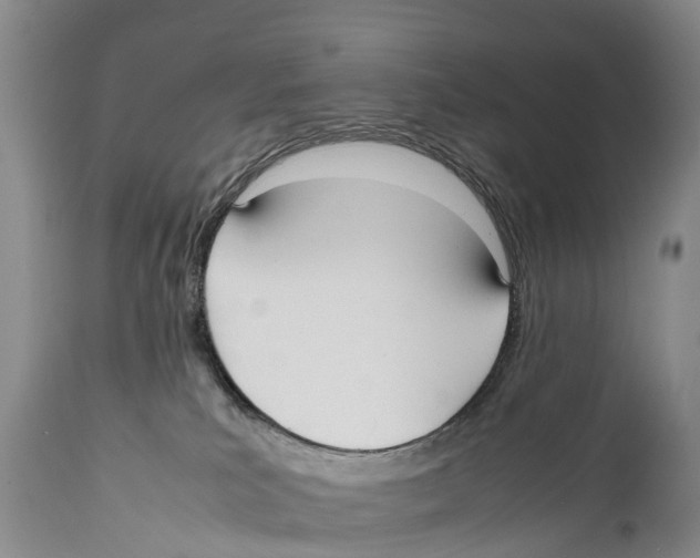 X0000111950039200908241214