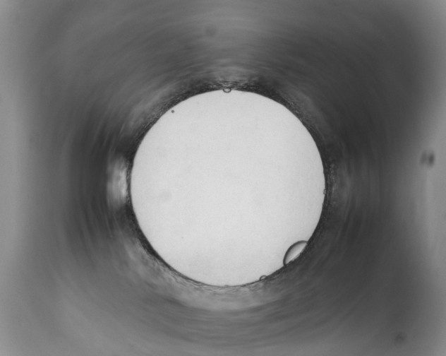 X0000111950042200908241214
