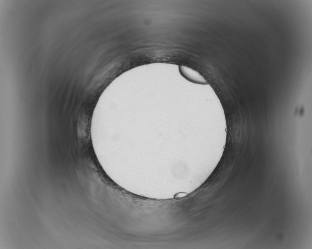 X0000111950044200908241214