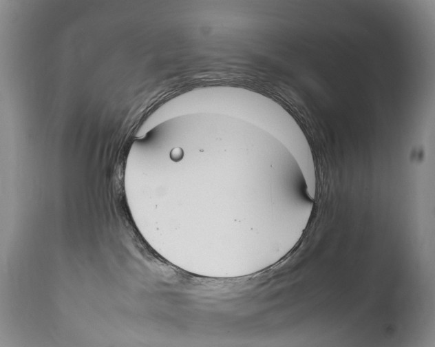X0000111950045200908241214