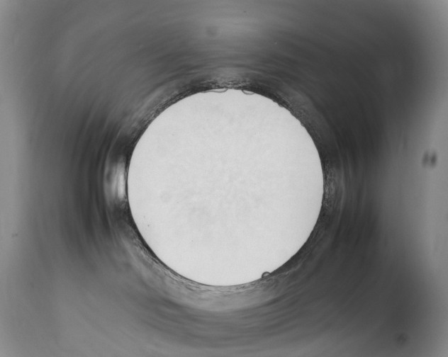 X0000111950046200908241214