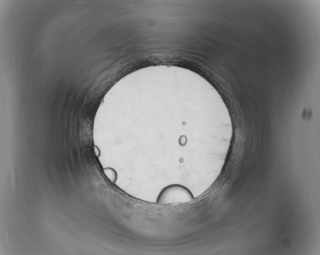 X0000111950048200908241214