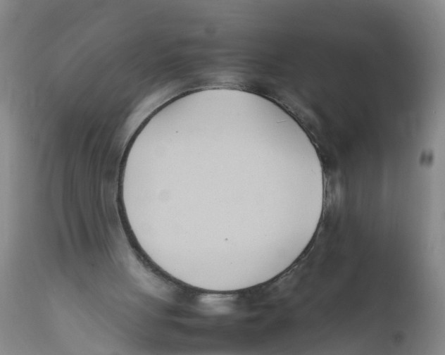 X0000111950051200908241214