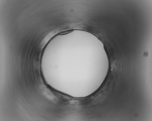 X0000111950052200908241214