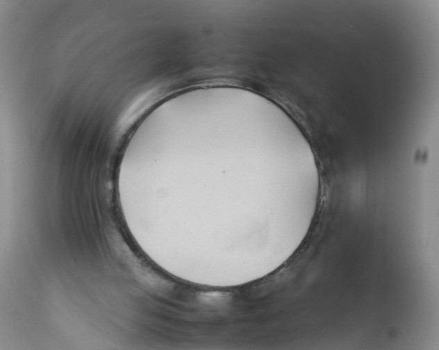 X0000111950053200908241214
