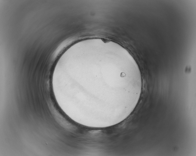X0000111950054200908241214