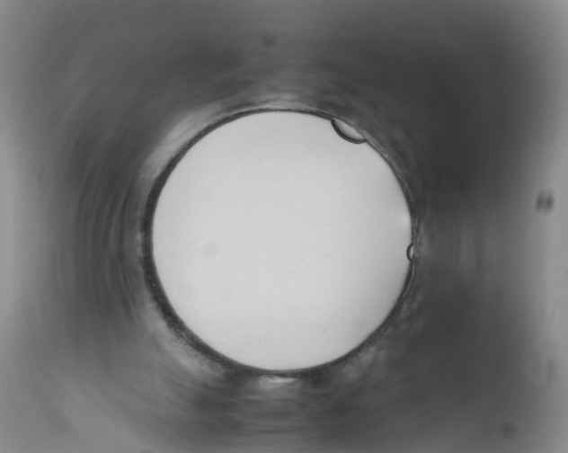 X0000111950055200908241214