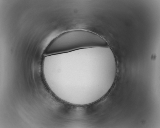 X0000111950056200908241214