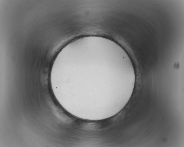 X0000111950058200908241214
