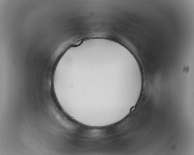 X0000111950059200908241214