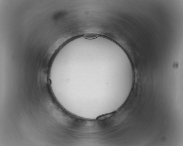 X0000111950060200908241214