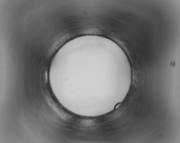 X0000111950061200908241214