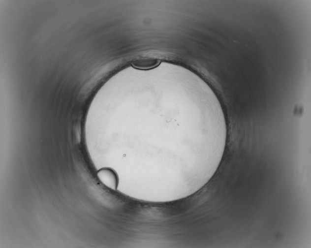 X0000111950062200908241214