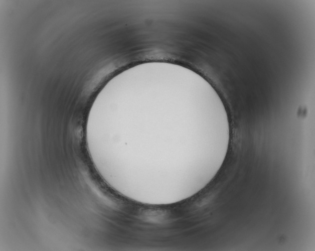 X0000111950063200908241214