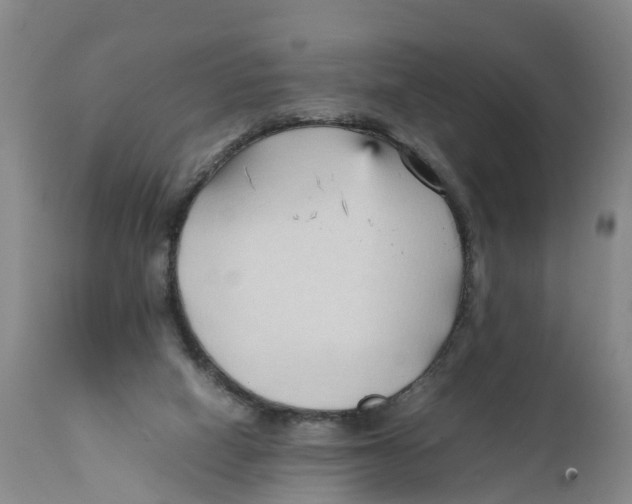 X0000111950066200908241214