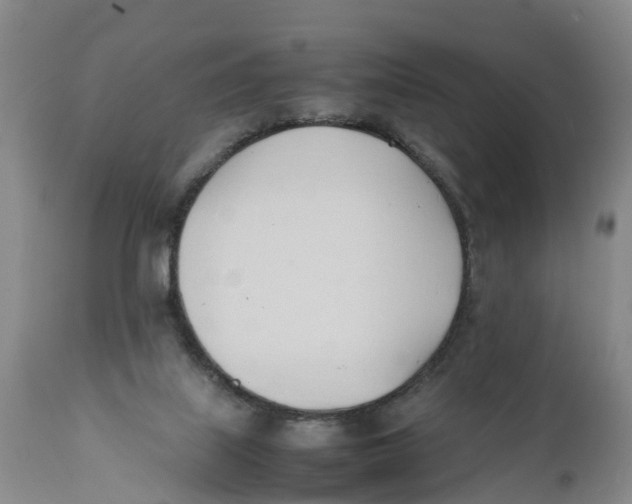X0000111950067200908241214