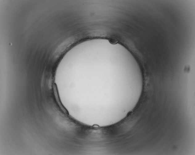 X0000111950068200908241214