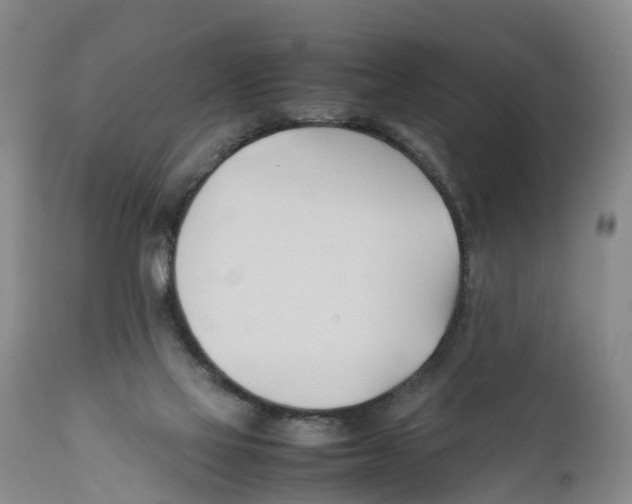 X0000111950069200908241214