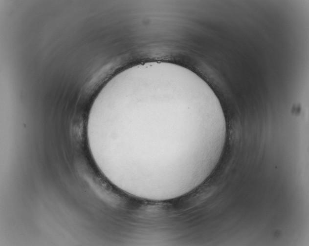 X0000111950072200908241214