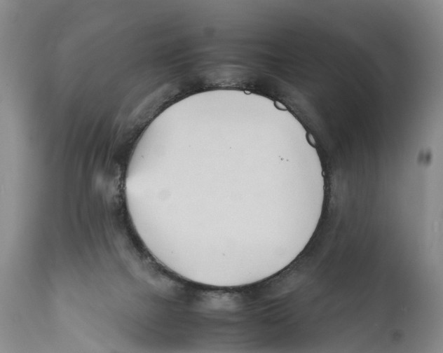 X0000111950073200908241214