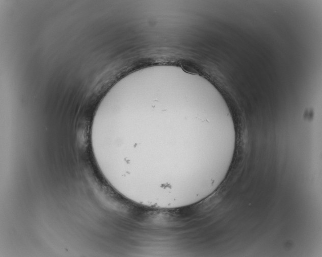 X0000111950074200908241214