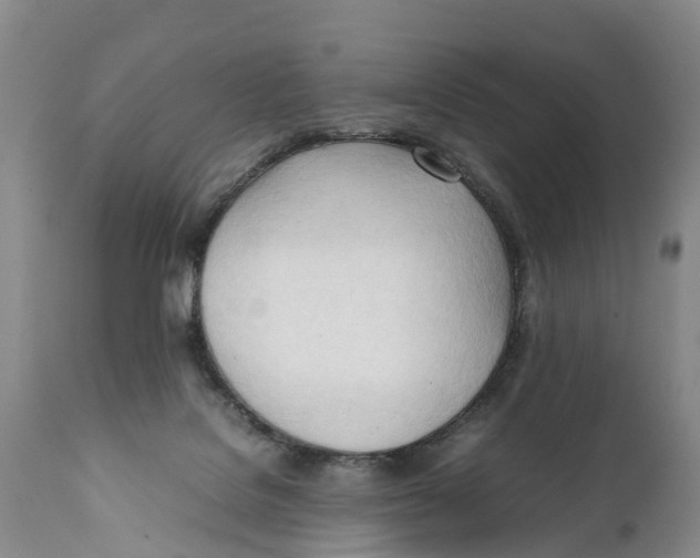 X0000111950076200908241214