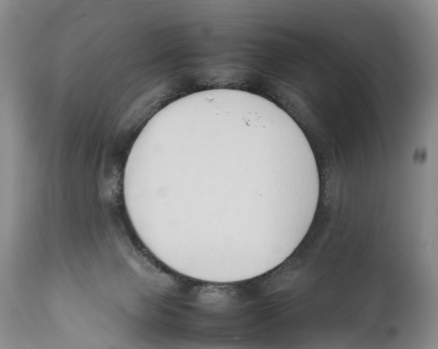 X0000111950077200908241214