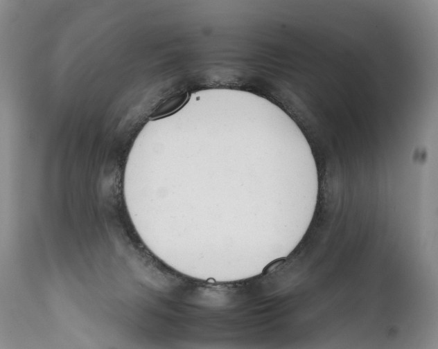 X0000111950079200908241214
