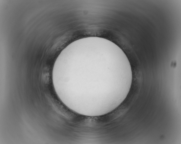 X0000111950080200908241214