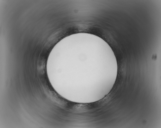 X0000111950082200908241214