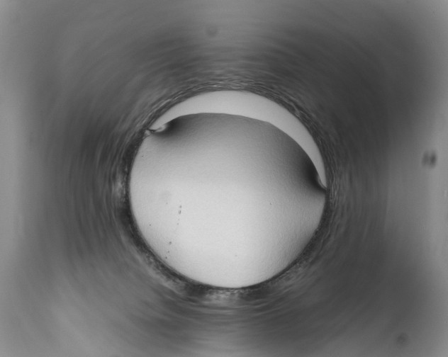 X0000111950084200908241214